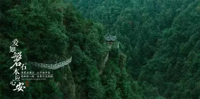 究竟为什么没有朝代能跳出历史轮回呢？游戏画面