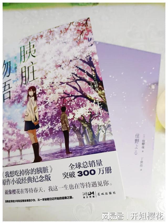 对话盘古智库创始人易鹏:时间可以换空间,实在有些坎迈不过去的时候就慢一点