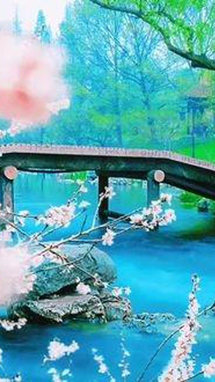 逃离医生的家
